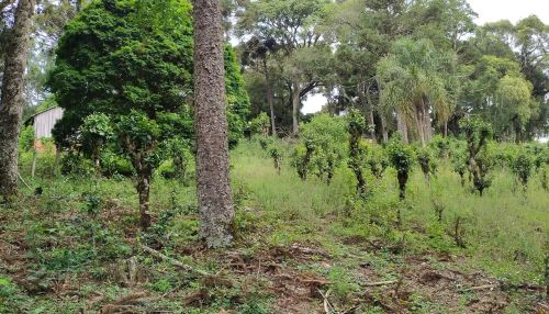 Terreno a venda em Imbituva PR  