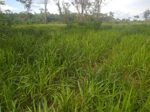 Fazenda a Venda de 20 alqueires prox a porto nacional