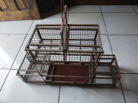 Gaiola alçapão 
