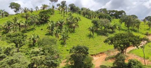 fazenda barata em Padre Bernardo 21 alq.