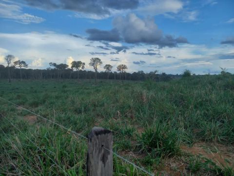 Terra de 61 alqueires sendo 42 de pasto, a 48km de Porto Velho sentido Jaci Paraná