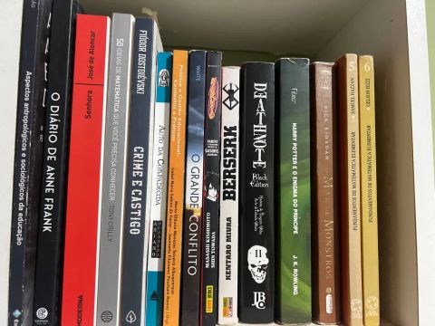 VENDO LIVROS, DEATH NOTE, BESERK, HARRY POTTER, FIODOR DOSTOIESVSKI, MATEMÁTICA ELEMENTAR