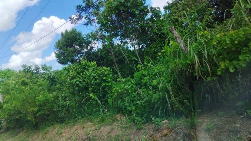 Terreno com área verde em local tranquilo e bem privado 