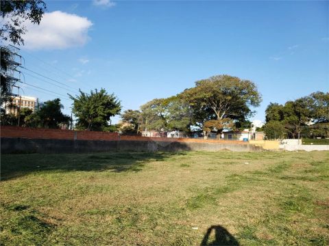 São Paulo - Terreno Padrão - CAMPO BELO