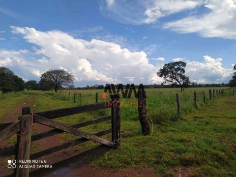 Fazenda à venda, 8030000 m² por R$ 22.400.000,00 - Centro - Cristalândia/TO