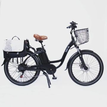 LEV E-BIKE L+ - Bicicletas Elétricas Seminovas!