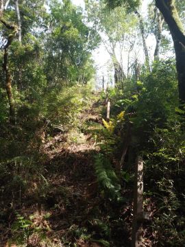 Vende se propriedade rural 