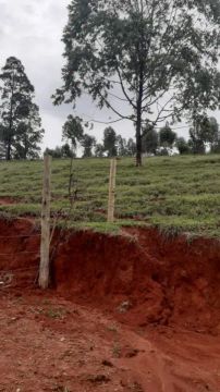 Venda Residential / Farm Ranch Congonhas MG
