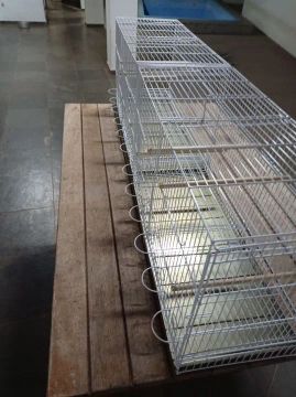 Gaiola voadeira e criadeira para pássaros - Nova