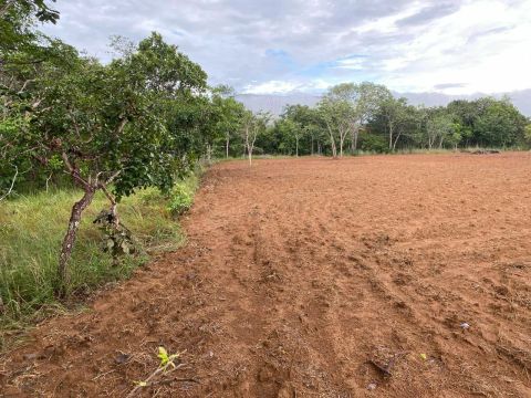 CHÁCARA À VENDA - 12 ALQUEIRES NA BEIRA DO ASFALTO