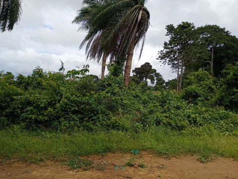 Vende se terreno 