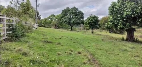 Vende-se fazenda em Catú/Ba com 313 tarefas para agricultura ou pecuária.