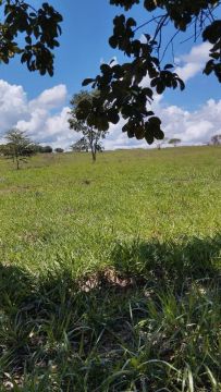 Sítio 33 hectares 