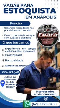 [EM ANÁPOLIS AV. BRASIL] Estoquista Início Imediato 