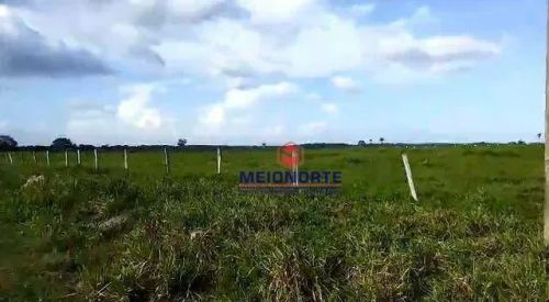 Fazenda com 1 dormitório à venda,  m² por R$ 46.100.000,00 - Jardim Tropical - Imperatriz/