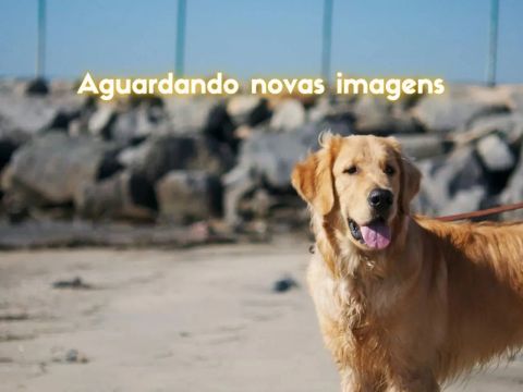 Apartamento 3 Quartos em Santos