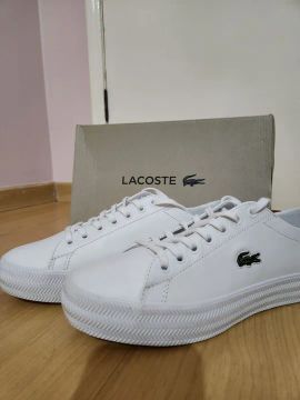 Tênis Lacoste original e novo