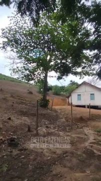 Imóvel para venda com 6050000 metros quadrados em Centro - Cardoso Moreira - RJ