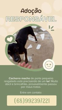 Cachorro de porte pequeno