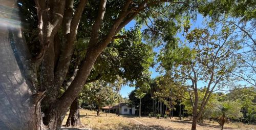 Chácara que é um verdadeiro refúgio em Goiânia!