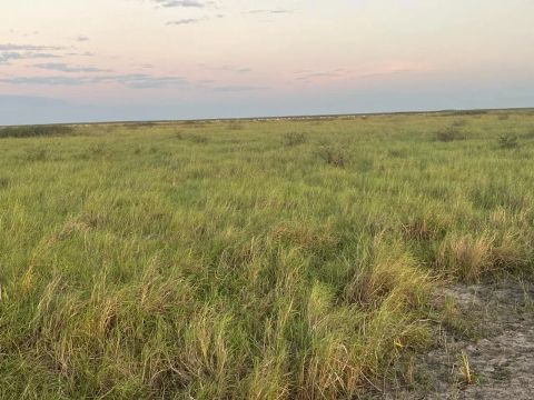 Imóvel para venda possui 27000 metros quadrados em Nhecolândia - Corumbá - MS