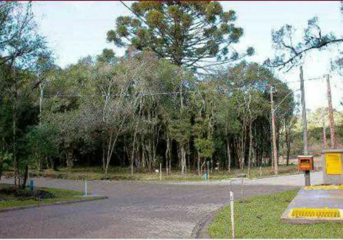 Lote em condomínio em Jose Pedro Piva - Sinoserra - Canela/RS