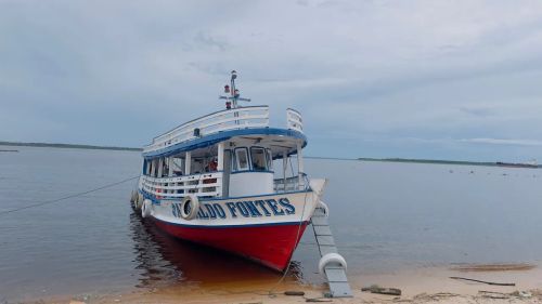 Barco  - Documentado - *
