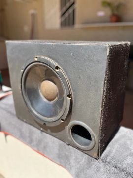Caixa de Som com Grave Subwoofer 10?