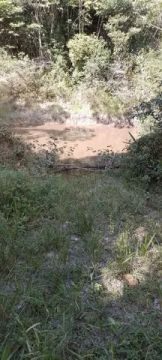 Vendo sitio em catu com 800 pé de coco 