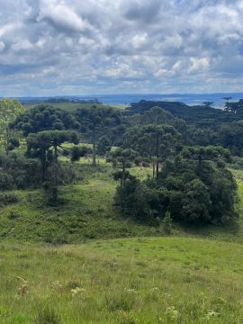 Chácara na Serra Gaúcha 