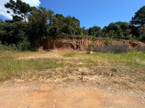 Terreno com 339 mts2