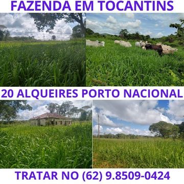 Fazenda Sitio Roça Chacara Alqueire Venda Tocantins Porto Nacional