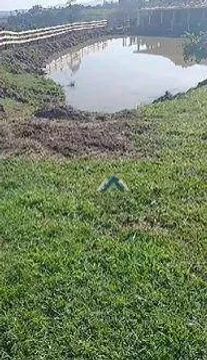 Sítio com 3 dormitórios à venda, 242000 m² por R$ 2.000.000,00 - Rural - Figueira/PR