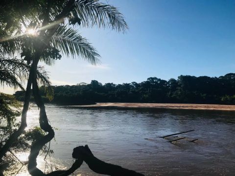 Imóvel para venda com 242 metros quadrados em Centro - Barra do Garças - MT