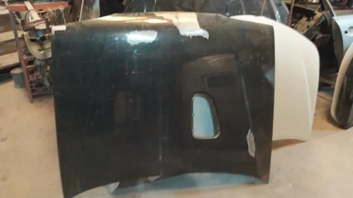 Capo Renault 19 