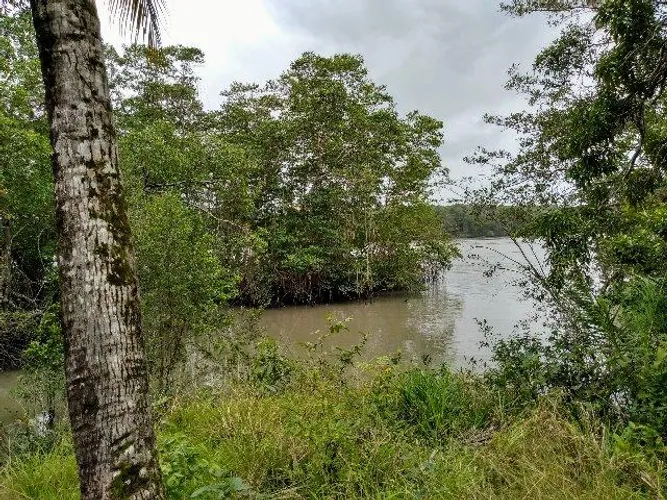 R$180 mil Fazenda 41 hectares em Marapanim região pra criação de camarão