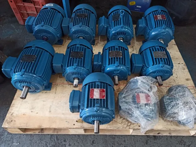 Motores Elétricos WEG