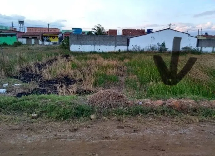 Terreno  Limoeiro PE 8×25