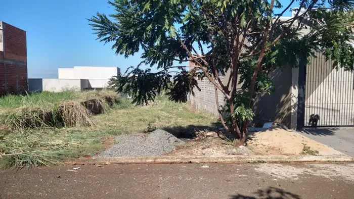 Floresta-Pr Jardim Nova Floresta Terreno 160 m2