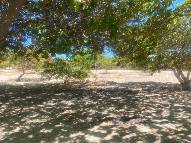 Vende-se terreno 90x500 próximo a pacajus , possui um lagadiço, uma casa