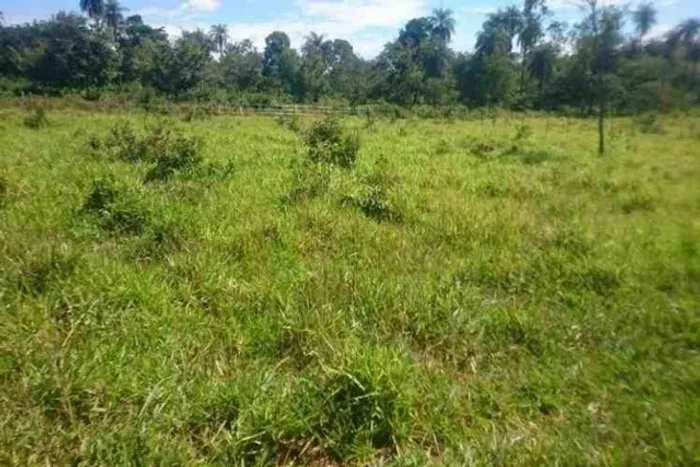 Chácara 1.800m² 100% plana, toda terra de plantio, Jaboticatubas (Temos varias opções).