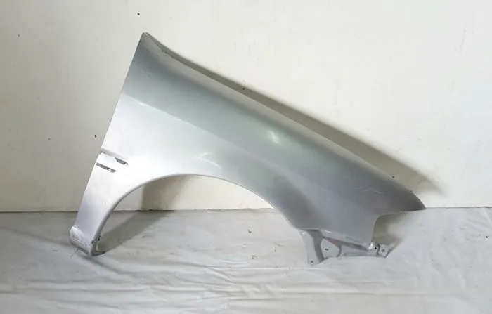 Paralama gol g4