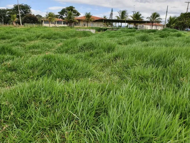 Linda fazenda de 570 t, com uma belíssima sede e curral completo