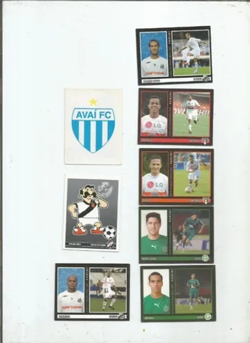 campeonato brasileiro 2007