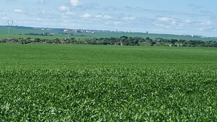 Fazenda 84 alqueiro pagamento 1+4 *