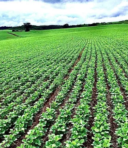 Fazenda para arrendar em Ortigueira