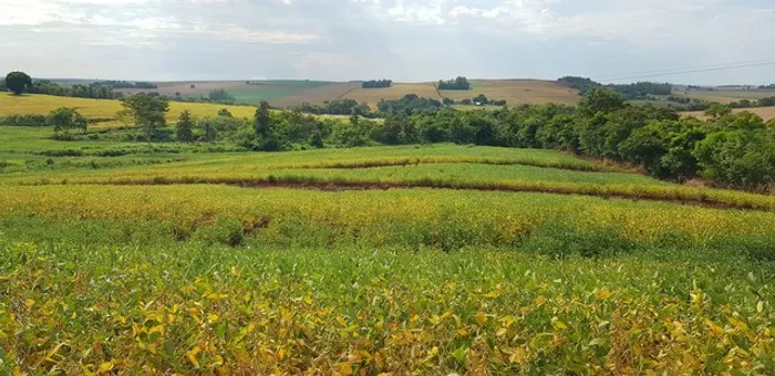 Chácara 20.000 m2  Gleba Ribeirão Pinguim, frente para rodovia 