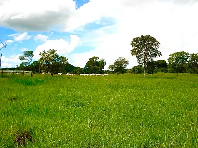 Fazenda de 38.5 alqueires em Jussara-Go