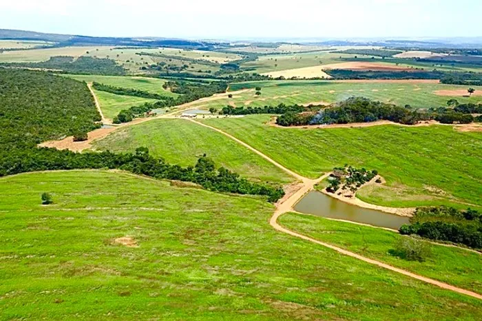 62.5 alqueires em Piracanjuba com 52 alqueires em lavoura -GO