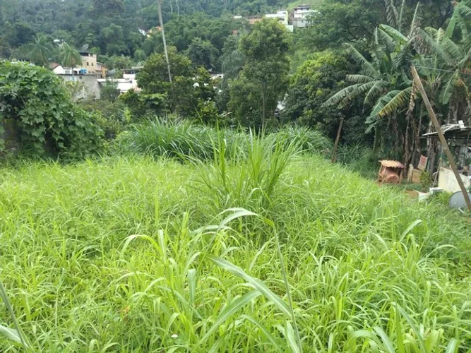 Terreno no centro